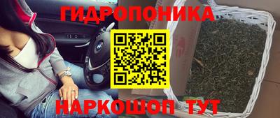 apvp Рыбинск