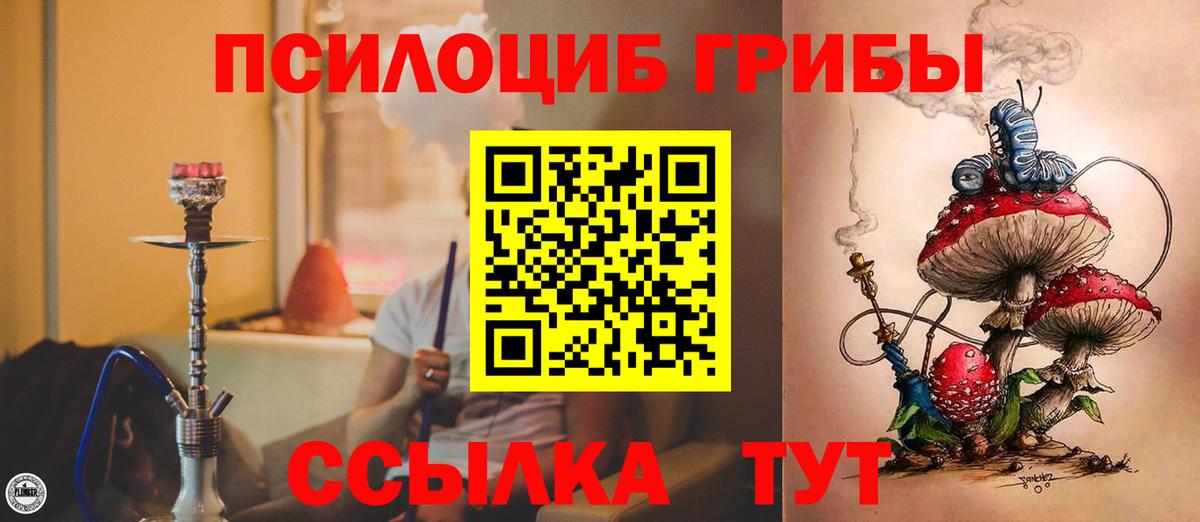 Солнечногорск  Псилоцибиновые грибы ЛСД  где найти наркотики  Вход с VPN 